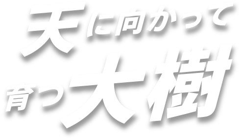 天に向かって育つ大樹